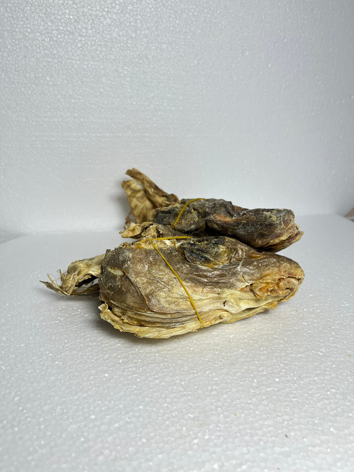 Stockfish Head