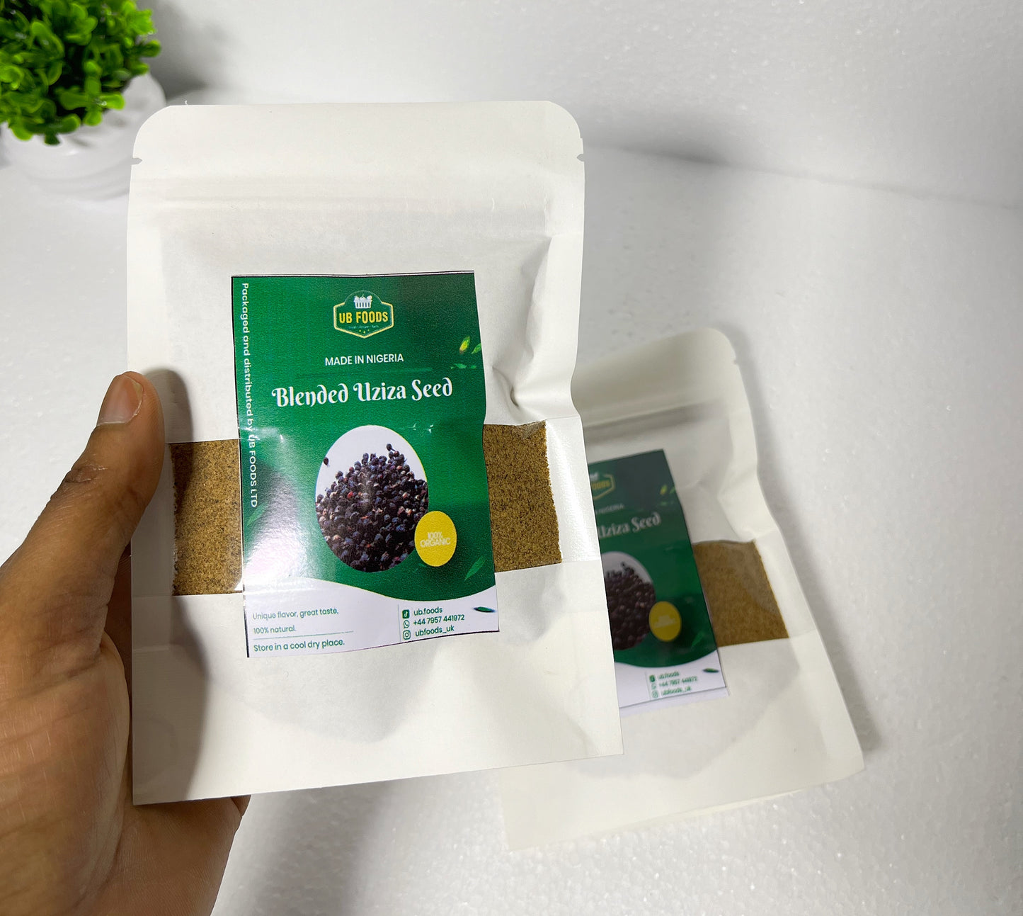 Ground uziza Seed